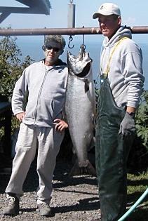 This Alaska king salmon was caught with halibut gear while out halibut fishing in over 100 feet of water.  What a surprise!
