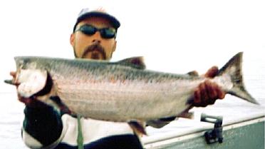 Alaska King Salmon